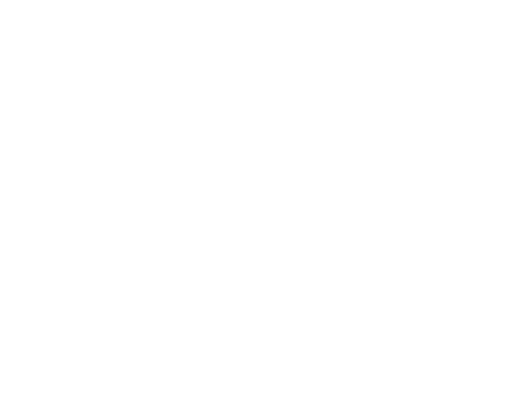 schiffer logo biele
